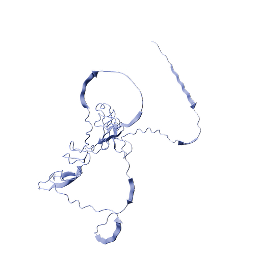 O94907-Human DKK-1 -3d structure.jpg
